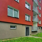 Rent 1 bedroom apartment in Cheb