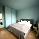 Rent 1 bedroom apartment of 50 m² in Frankfurt