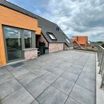 Rent 2 bedroom apartment of 104 m² in WESTERLO