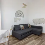 Rent 1 bedroom apartment in Florence