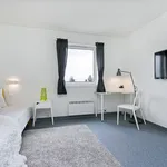 Rent 1 bedroom apartment of 10 m² in Trondheim