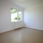 Rent 1 bedroom house of 270 m² in Brno