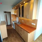 Rent 4 bedroom apartment of 70 m² in budejovice