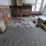 Rent 2 bedroom apartment of 50 m² in Torino