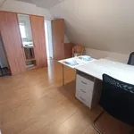 Rent 1 bedroom apartment of 144 m² in Brno