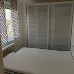 Rent 3 bedroom apartment in Ostrava