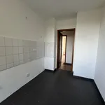 Rent 3 bedroom apartment of 61 m² in Chemnitz