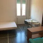 Rent 5 bedroom apartment of 110 m² in Bologna