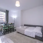 Miete 1 Schlafzimmer wohnung von 35 m² in Paradiso