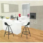 Rent 2 bedroom apartment of 55 m² in Rovigo