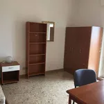 Rent 4 bedroom apartment of 110 m² in Ancona