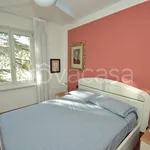 Rent 4 bedroom apartment of 130 m² in Trento