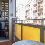 Rent a room in madrid