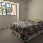 Rent 3 bedroom house in Vista