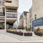 Rent 1 bedroom apartment in Cambridge