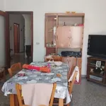 Rent 4 bedroom apartment of 90 m² in Apricena