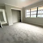 Rent 3 bedroom house in auckland