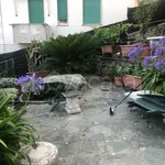 Rent 4 bedroom apartment of 120 m² in Rapallo