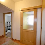 Rent 2 bedroom apartment of 40 m² in Brno