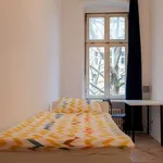 Rent a room of 155 m² in berlin