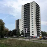 Huur 4 slaapkamer appartement van 93 m² in 7322 NN Apeldoorn