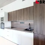 Rent 1 bedroom apartment of 35 m² in Brno