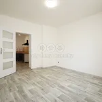 Pronajměte si 1 ložnic/e byt o rozloze 40 m² v Karlovy Vary