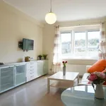 Rent 2 bedroom apartment of 44 m² in Praha