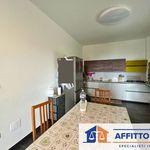 Two-family villa, new, 150 m², Santa Brigida, Moncalieri