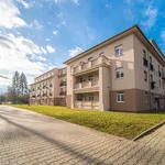 Rent 2 bedroom apartment of 39 m² in Milovice