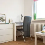 Rent a room in Lodz