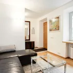 Rent 2 bedroom apartment in vilnius