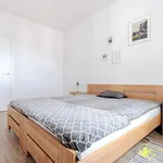 Rent 3 bedroom apartment of 60 m² in Łódź