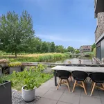 Rent 3 bedroom house of 138 m² in Breda