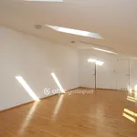 Rent 5 bedroom apartment in Budapest