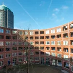 Rent 4 bedroom apartment of 136 m² in Den Haag