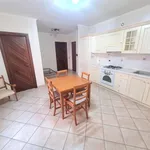 Rent 2 bedroom apartment of 45 m² in Roma