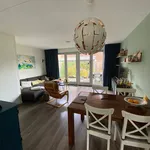 Huur 4 slaapkamer huis van 113 m² in Rapelenburg