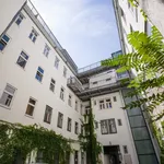 Rent 1 bedroom apartment of 431 m² in vienna