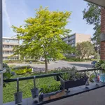 Zwaluwlaan, Bussum - Amsterdam Apartments for Rent