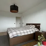 Rent 1 bedroom apartment in Antwerp