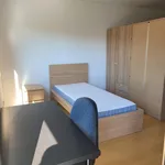 Rent 3 bedroom apartment in Coimbra