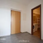 Rent 2 bedroom apartment of 43 m² in Tábor