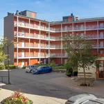 Rent 1 bedroom apartment of 23 m² in Flemingsberg