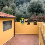 Rent 5 bedroom house of 500 m² in Florence