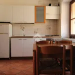 Rent 2 bedroom apartment of 50 m² in Saluzzo