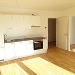 Rent 2 bedroom apartment of 52 m² in Graz