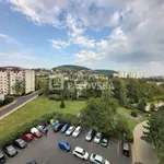 Rent 1 bedroom apartment of 63 m² in Ústí nad Labem