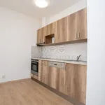 Rent 2 bedroom apartment of 49 m² in Počátky