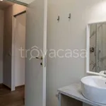 Rent 1 bedroom apartment of 50 m² in Milano